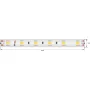 DSG560-24-W-65 DSG560-24-W-65 DesignLed 1