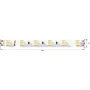DSG560-24-WW-33 DSG560-24-WW-33 DesignLed 1