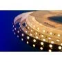 DSG560-24-WW-33 DSG560-24-WW-33 DesignLed 5