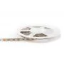 DSG560-12-RGB-33 DSG560-12-RGB-33 DesignLed 6
