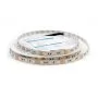 DSG560-12-RGB-33 DSG560-12-RGB-33 DesignLed 5