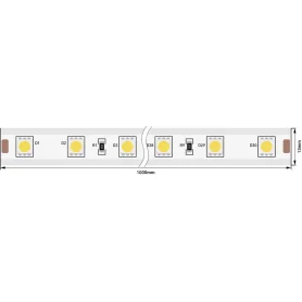 LT560-W-50 LT560-W-50 SWG