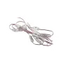 LMD22YH-12-W LMD22YH-12-W SWG 2