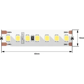 DSG2168-24-W-33 DSG2168-24-W-33 DesignLed