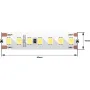 DSG2168-24-W-33 DSG2168-24-W-33 DesignLed 1
