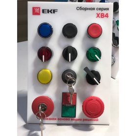 C0613 C0613 EKF