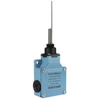 ВП 40-2106М-66 У2, рычаг пружинный 