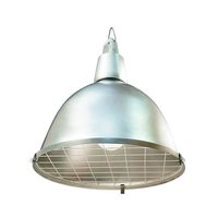 Светильник ФСП17-105-022 Compact Ардатов