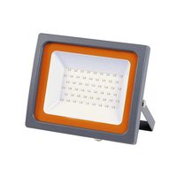 Прожектор светодиодный PFL-SC SMD 100Вт 6500К IP65 матов. стекло JazzWay 5001428