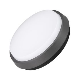 029948 029948 Arlight