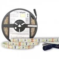 Лента светодиодная 71 403 NLS-3528WW60-4.8 IP65 12B R5 4.8Вт/м (уп.5м) Navigator