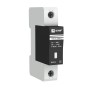 opv-c1 opv-c1 EKF 1