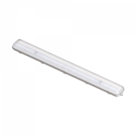 ЛСП 2x36 1200 IP65 40Вт 24В 5000К Матовый