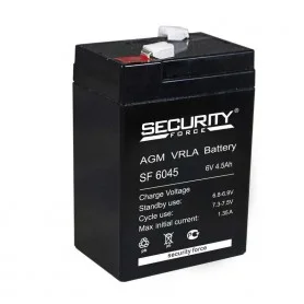 SF 6045 SF 6045 Security Force