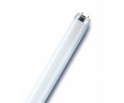 Лампа люминесцентная L 36W/865 LUMILUX 36Вт T8 6500К G13 смол. OSRAM