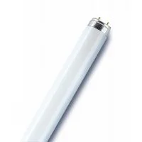 Лампа люминесцентная L 36W/865 LUMILUX 36Вт T8 6500К G13 смол. OSRAM
