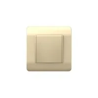 Розетка NEW3-E 16А IP44 с заземл. защ. шторки с крышкой шампань CHINT