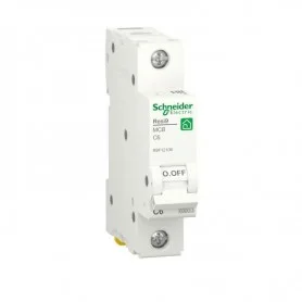 R9F12106 R9F12106 Schneider Electric ШНЕЙДЕР ЭЛЕКТРИК
