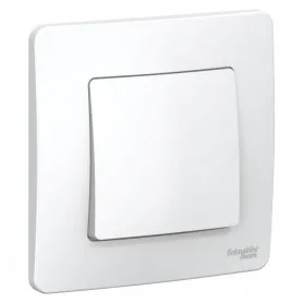 BLNVS010101 BLNVS010101 Systeme Electric