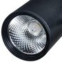 A2310PL-1BK A2310PL-1BK Arte Lamp 3