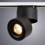 A7716PL-1BK A7716PL-1BK Arte Lamp 2