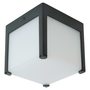 f51336 f51336 FERON 1