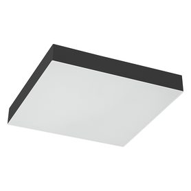 f51919 f51919 FERON