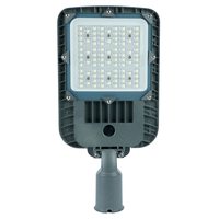 Светодиодный уличный консольный светильник Feron серии TR 100W 5000K AC90-300V, СЕРЫЙ