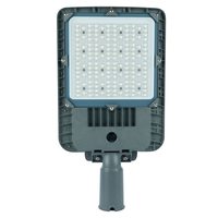 Светодиодный уличный консольный светильник Feron серии TR 100W 5000K AC90-300V, СЕРЫЙ