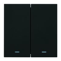 Выключатель 2-клавишный c индикатором (механизм), STEKKER, 250В, 10А, серия Мия, RSW10-3102-05, черный бархат