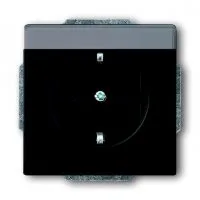 Розетка SCHUKO 16А 250В поле для надписи, Future/Axcent/Carat/Династия, черный бархат