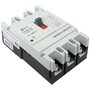 mccb99-250-225mI mccb99-250-225mI EKF 10