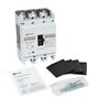 mccb99-100-20m mccb99-100-20m EKF 7