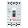 mccb99-63-50mI mccb99-63-50mI EKF 6