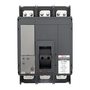 mccb99C-1250-1000 mccb99C-1250-1000 EKF 7