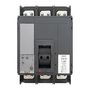 mccb99C-1250-800 mccb99C-1250-800 EKF 2