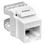 TRP-KSTN-180D-6UTP-WH TRP-KSTN-180D-6UTP-WH EKF 6