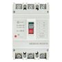 mccb99-250-250mI mccb99-250-250mI EKF 3