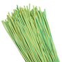 tut-2-yg-1m tut-2-yg-1m EKF 2