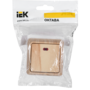 EVO10-K04-10-DC EVO10-K04-10-DC IEK ( ИЭК ) 2