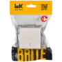BR-V12-1-10-K36 BR-V12-1-10-K36 IEK ( ИЭК ) 2