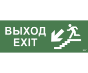 Этикетка самоклеящаяся 350х130мм Выход/лестница вниз/фигура IEK