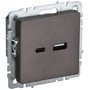 BRITE Розетка USB A+C 18Вт РЮ11-1-БрТБ темная бронза IEK в Выключатели клавишные, переключатели от IEK ( ИЭК ) в интернет магазине ЭлектроОм электротовары 1 BR-U22-018-K45 BR-U22-018-K45 IEK ( ИЭК ) 1