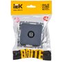 BR-A10-P-K35 BR-A10-P-K35 IEK ( ИЭК ) 2