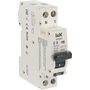 ARMAT Автоматический выключатель дифференциального тока B06S 1P+NP C8 30мА тип AC (18мм) IEK в Дифференциальный автомат (дифавтомат) УЗО, АВДТ с автоматическим выключателем от IEK ( ИЭК ) в интернет магазине ЭлектроОм электротовары 2 AR-B06S-1N-C08C030 AR-B06S-1N-C08C030 IEK ( ИЭК ) 2
