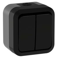 TORS Выключатель двухклавишный проходной 10А IP55 TS125 графит IEK