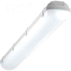 G-08181 G-08181 Geniled