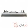 L0000120 L0000120 Lightup 1