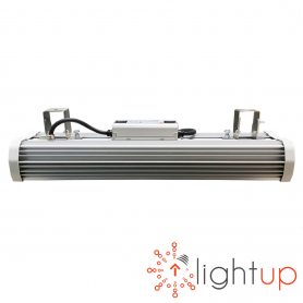 L0000060 L0000060 Lightup