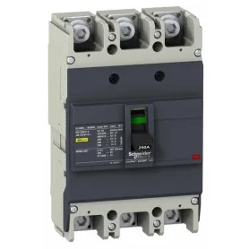 EZC250F3160 EZC250F3160 Schneider Electric ШНЕЙДЕР ЭЛЕКТРИК